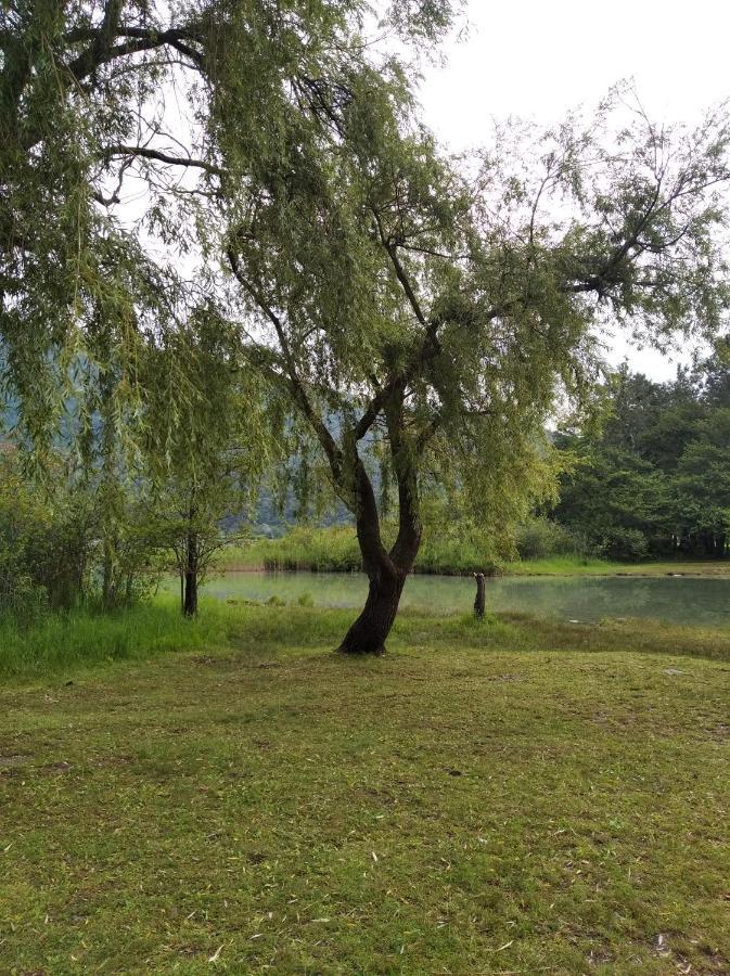 Apartamento Tra La Stazione E Il Lago Verbania Exterior foto